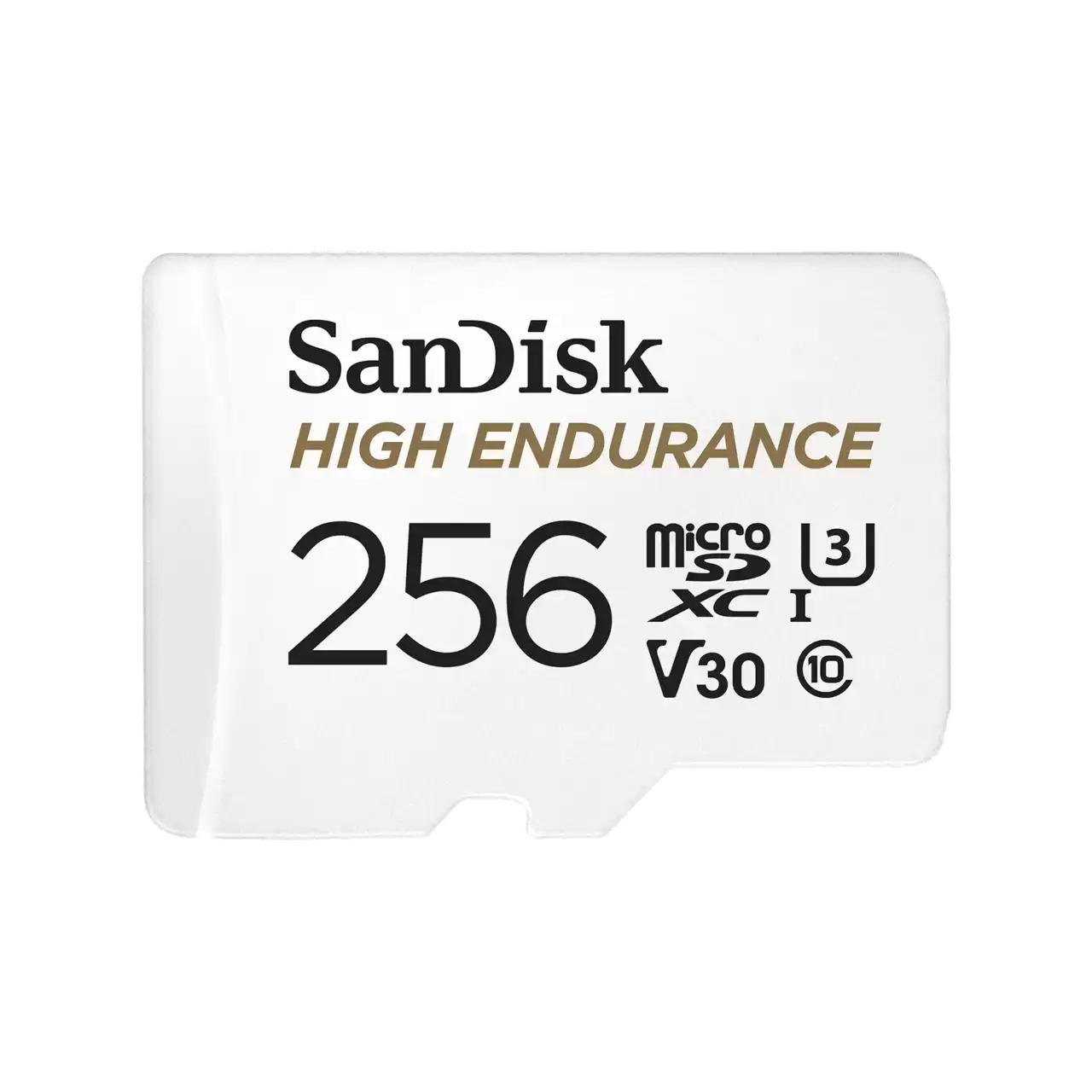 SanDisk 256GB High Endurance microSD Card
